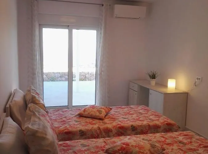 Bouganville Stegna *